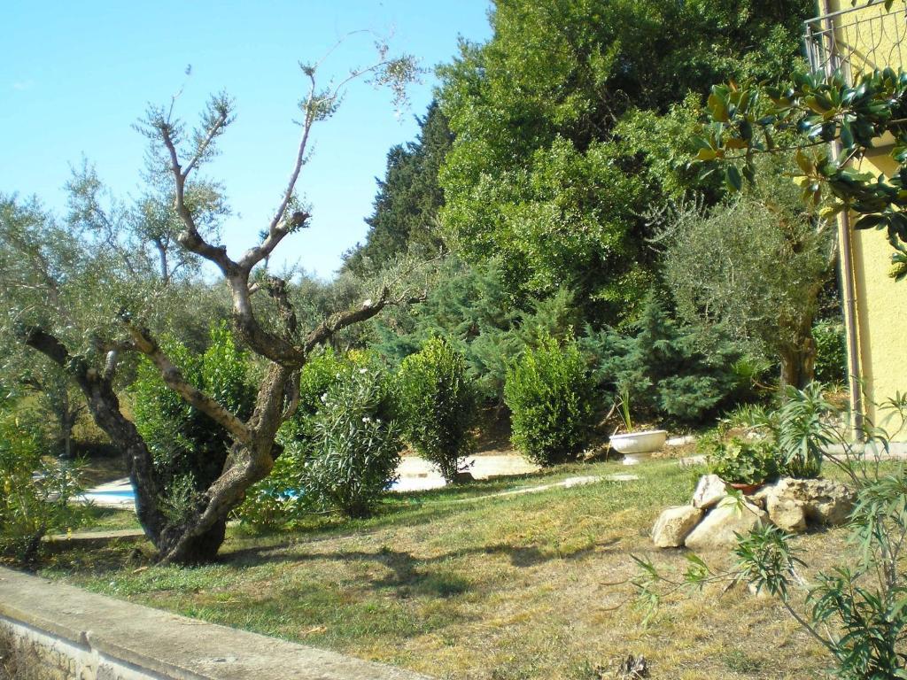 Villa Olcimia Capena Esterno foto