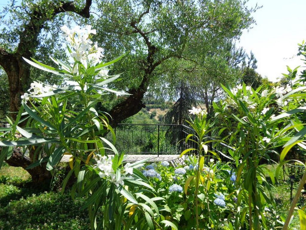 Villa Olcimia Capena Camera foto
